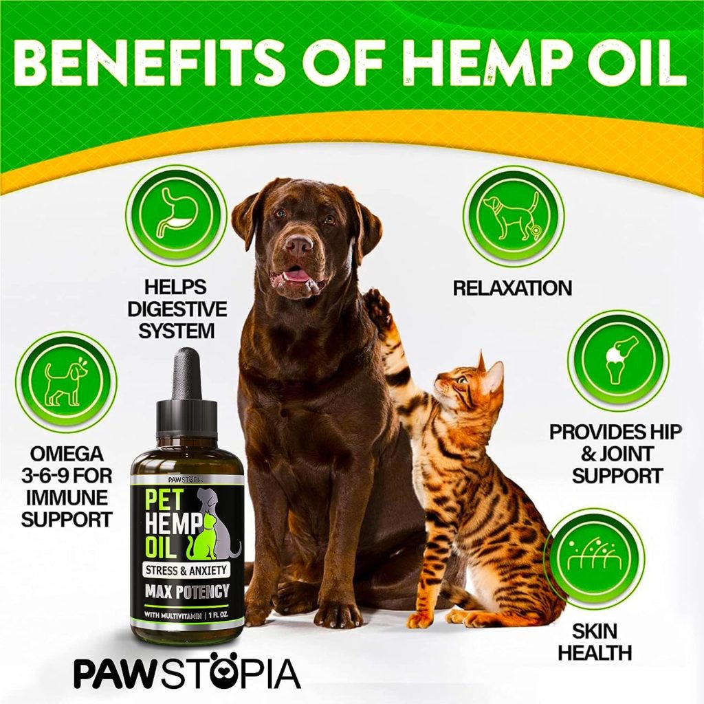 (2 Pack) Hemp Oil Drops for Dogs - Helps Pets with Anxiety, Pain, Stress, Sleep, Arthritis, Seizures Relief - Cat Anxiety Relief - Omega 3-6-9 - Treats - Hip and Joint Support