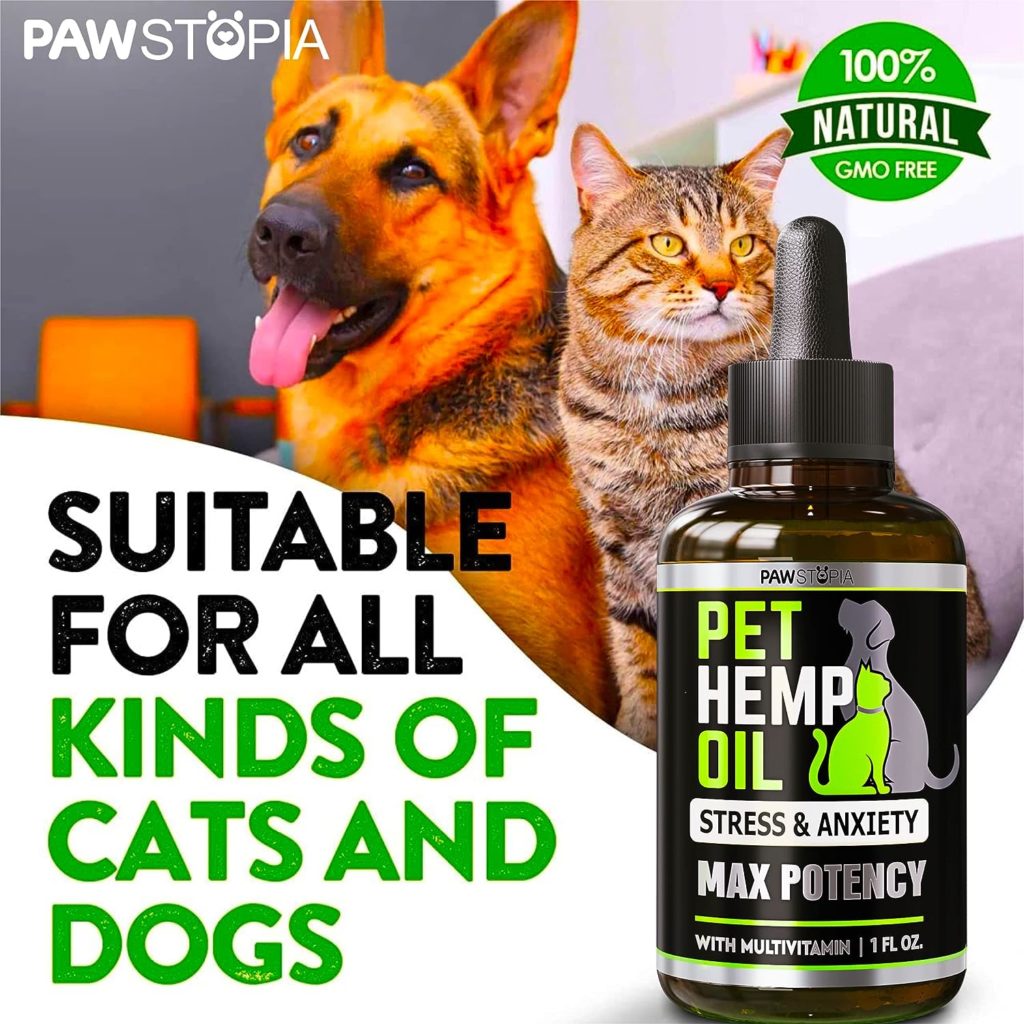 (2 Pack) Hemp Oil Drops for Dogs - Helps Pets with Anxiety, Pain, Stress, Sleep, Arthritis, Seizures Relief - Cat Anxiety Relief - Omega 3-6-9 - Treats - Hip and Joint Support