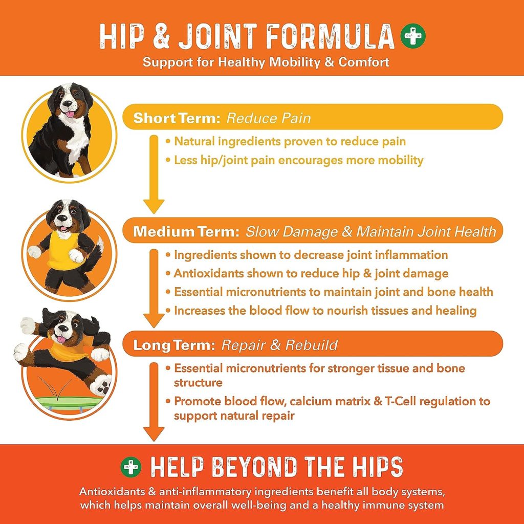 Bernies Healthy Hips - Daily Dog Hip and Joint Supplement - 90 Soft Chews - Reduce Pain, Encourage Mobility, Slow Damage, Repair and Rebuild Hips and Joint Tissues