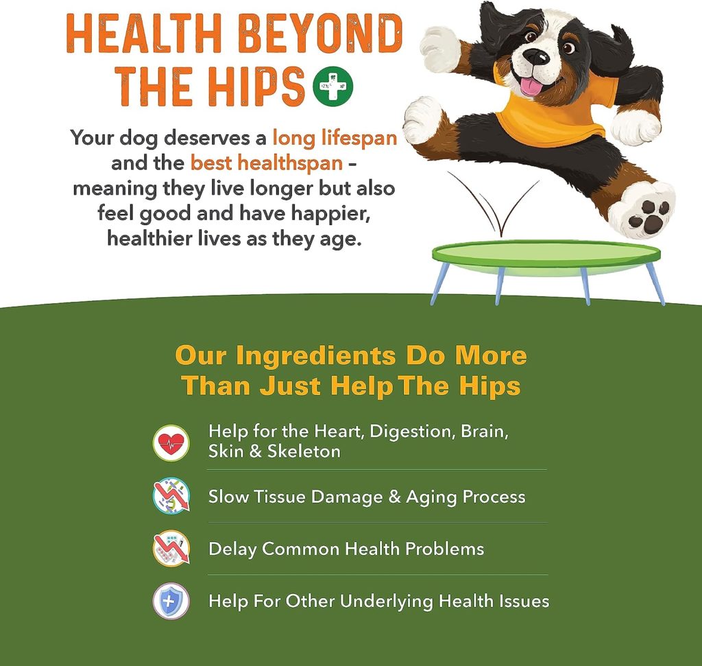 Bernies Healthy Hips - Daily Dog Hip and Joint Supplement - 90 Soft Chews - Reduce Pain, Encourage Mobility, Slow Damage, Repair and Rebuild Hips and Joint Tissues