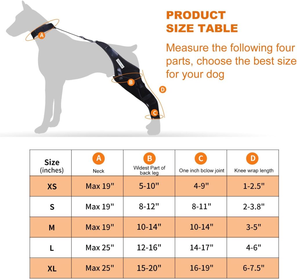 Diamemon Dog Knee Brace - Torn Acl Hind Leg Support, Dog Rear Leg Braces for Joint Pain and Muscle Sore Recovery, Adjustable Cruciate Care Dog Back Leg Brace with Neck Brace (XL, Right Leg)