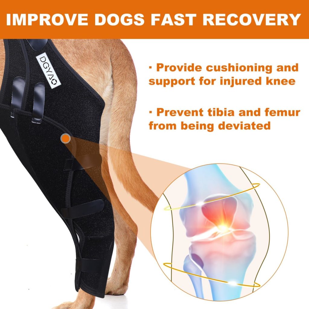 Diamemon Dog Knee Brace - Torn Acl Hind Leg Support, Dog Rear Leg Braces for Joint Pain and Muscle Sore Recovery, Adjustable Cruciate Care Dog Back Leg Brace with Neck Brace (XL, Right Leg)