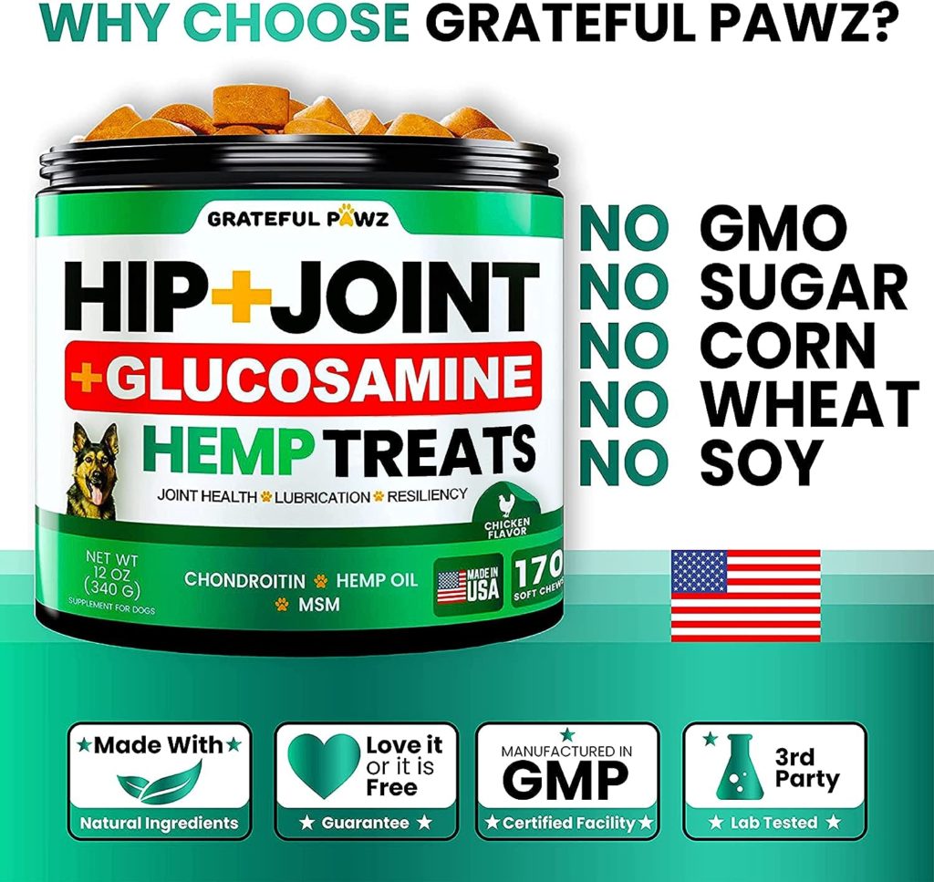 Hemp Hip and Joint Supplement for Dogs - Glucosamine for Dogs - 170 Dog Joint Pain Relief Treats - Chondroitin, MSM, Hemp Oil - Advanced Dog Joint Supplement Health - Mobility Support Chews