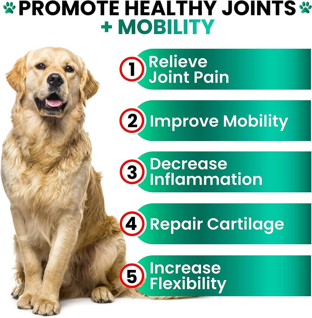 Hemp Hip and Joint Supplement for Dogs - Glucosamine for Dogs - 170 Dog Joint Pain Relief Treats - Chondroitin, MSM, Hemp Oil - Advanced Dog Joint Supplement Health - Mobility Support Chews