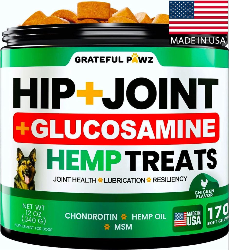 Hemp Hip and Joint Supplement for Dogs - Glucosamine for Dogs - 170 Dog Joint Pain Relief Treats - Chondroitin, MSM, Hemp Oil - Advanced Dog Joint Supplement Health - Mobility Support Chews