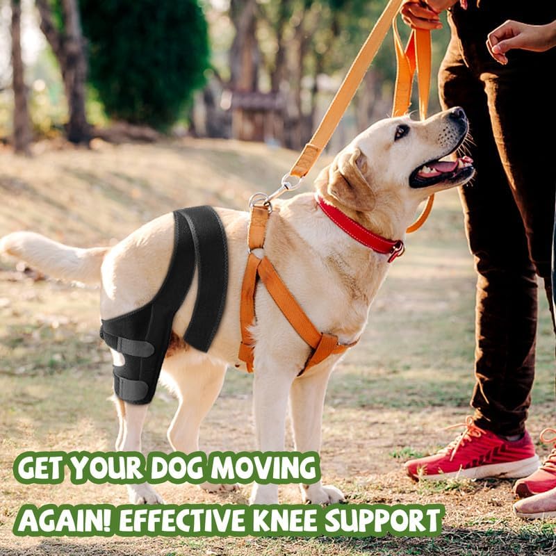 JUANWAN Dog Knee Brace Leg Braces - Dog Canine Knee Stifle Brace Wrap Dog Knee Brace for Torn ACL Hind Leg Joint Pain Muscle Sore Pet Brace Reduces Pain and Inflammation #03