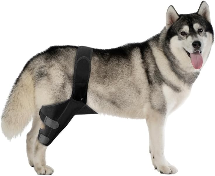 JUANWAN Dog Knee Brace Leg Braces - Dog Canine Knee Stifle Brace Wrap Dog Knee Brace for Torn ACL Hind Leg Joint Pain Muscle Sore Pet Brace Reduces Pain and Inflammation #03