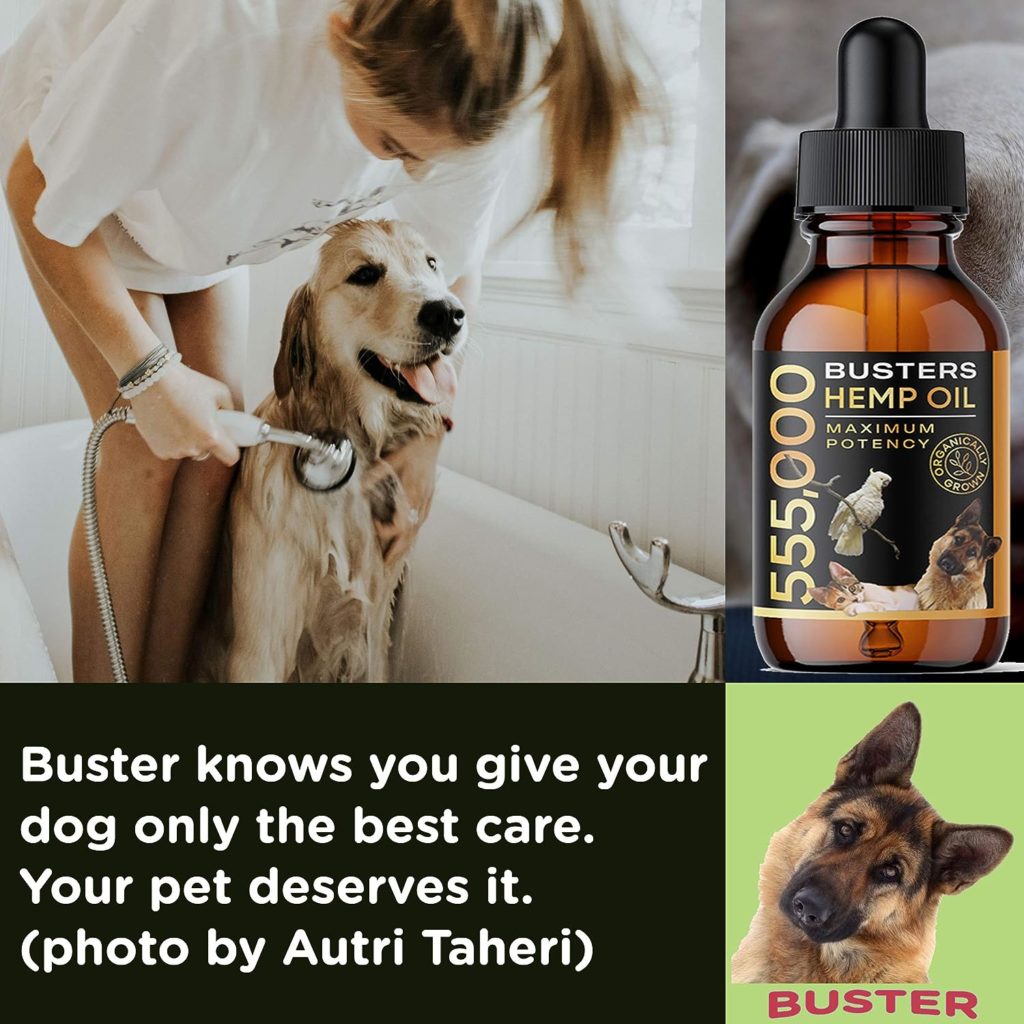 K2xLabs Busters Organic Hemp Oil for Dogs and Pets, 555,000 Max Potency, Large 60ml Bottle, Made in USA - Miracle Formula, Perfectly Balanced Omega 3, 6, 9 - Relief for Joints, Calming (4Pack)