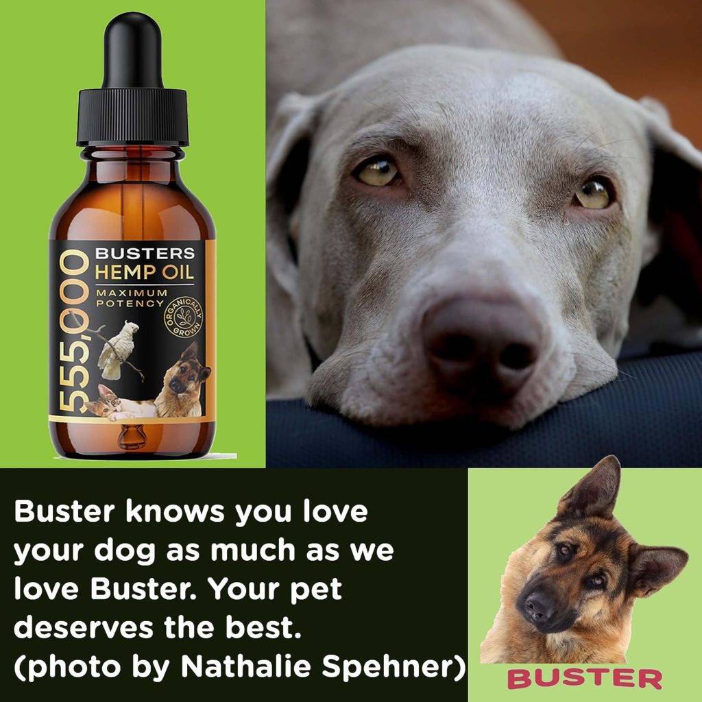 K2xLabs Busters Organic Hemp Oil for Dogs and Pets, 555,000 Max Potency, Large 60ml Bottle, Made in USA - Miracle Formula, Perfectly Balanced Omega 3, 6, 9 - Relief for Joints, Calming (4Pack)