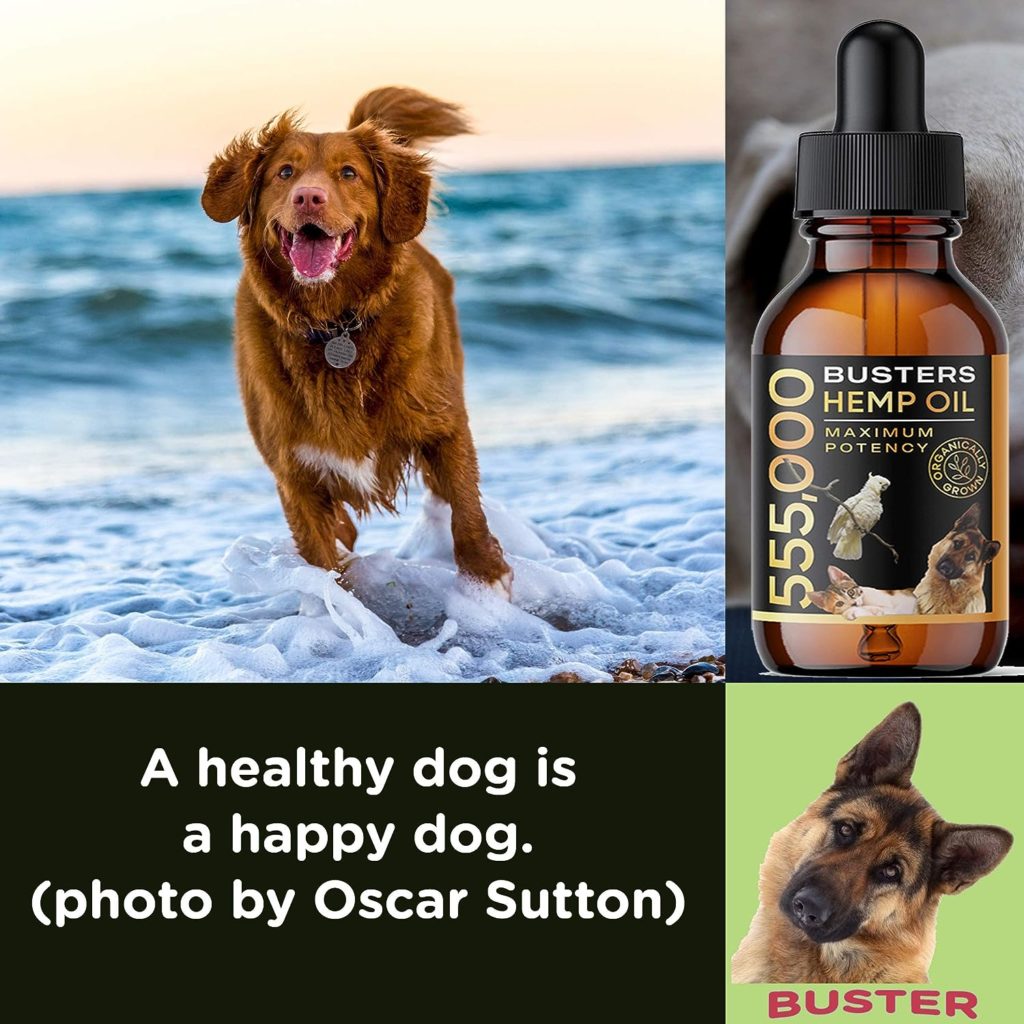 K2xLabs Busters Organic Hemp Oil for Dogs and Pets, 555,000 Max Potency, Large 60ml Bottle, Made in USA - Miracle Formula, Perfectly Balanced Omega 3, 6, 9 - Relief for Joints, Calming (4Pack)