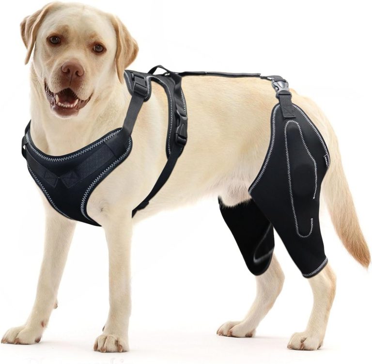 LISPOO Dog Acl Knee Brace Review