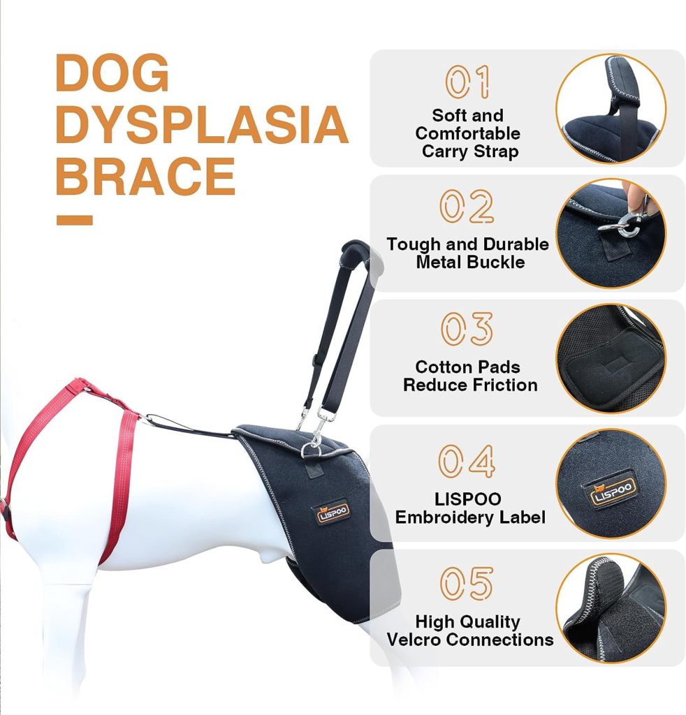 LISPOO Dog Hip Support Brace for Hip dysplasia,Hip Pain, Dog Hip Brace Support for Luxating Pattela,Hip Brace for Dogs Warm Hip Joint and Relieve Pain,Dog Hip Dysplasia Brace(L)