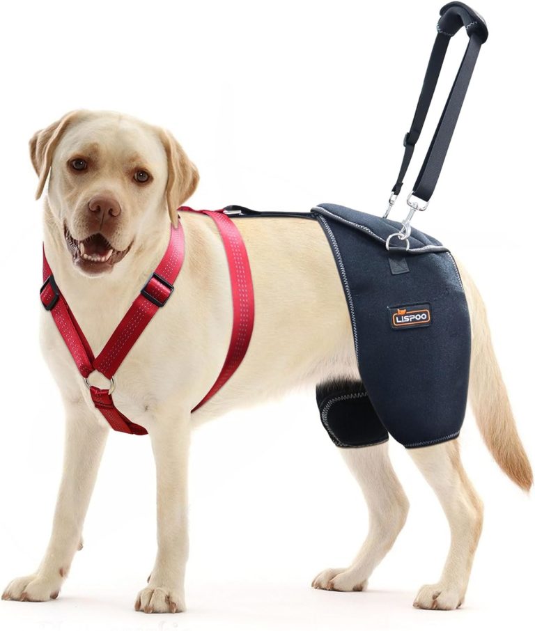 LISPOO Dog Hip Support Brace Review