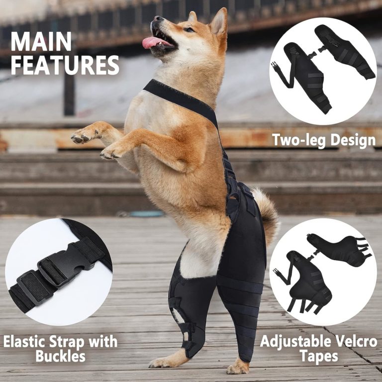 MewMewLand Dog Knee Brace Review