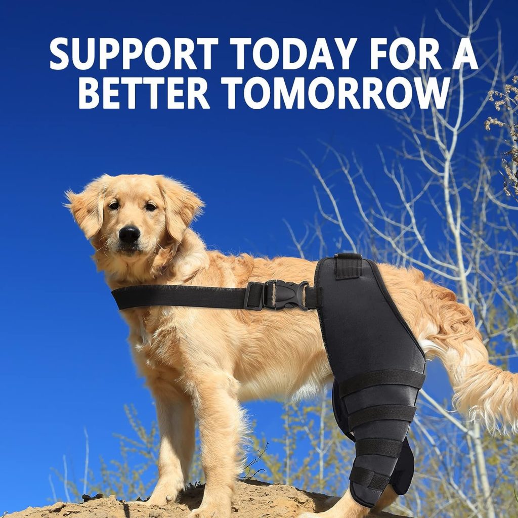 MewMewLand Dog Knee Braces, ACL, CCL, Extra Support for Pain Arthritis, Dog ACL Brace Hind Legs, Black Small