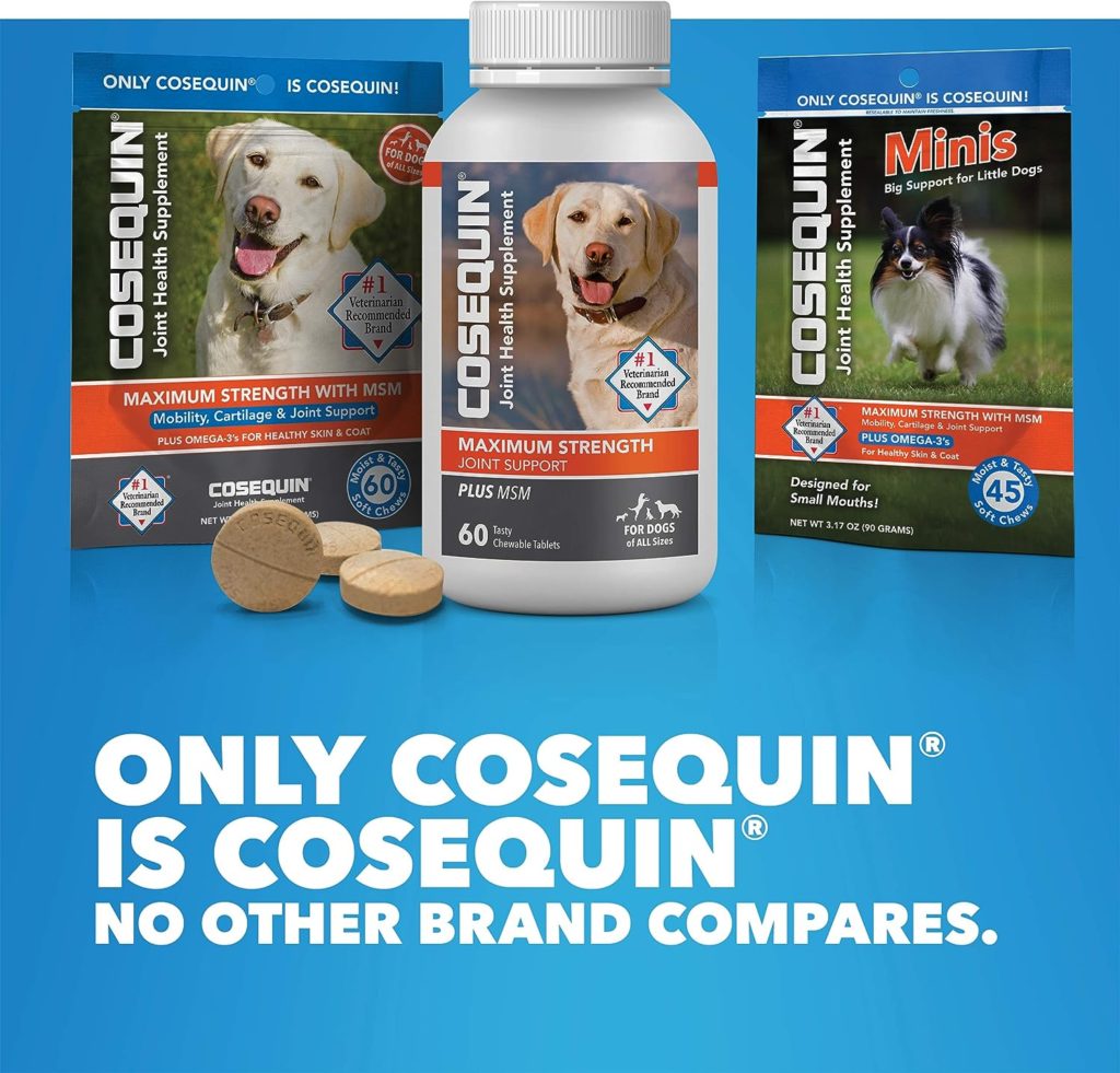 Nutramax Cosequin Joint Health Supplement for Dogs - With Glucosamine, Chondroitin, MSM, and Omega-3s, 60 Soft Chews