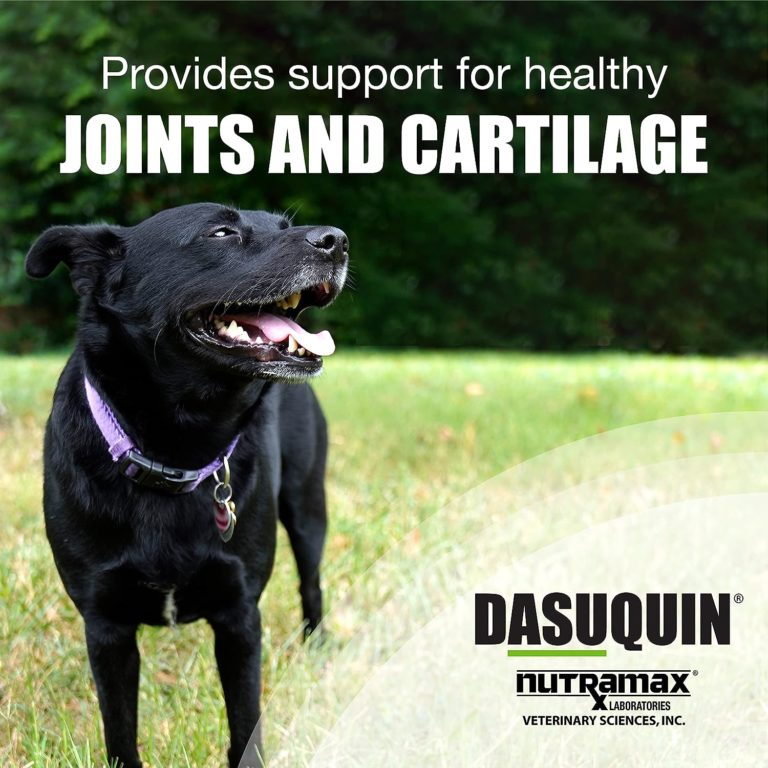 Nutramax Dasuquin Joint Health Supplement Review