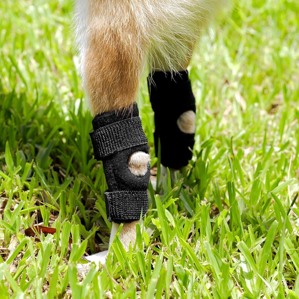 peepbo Dog Leg Brace for Hind Leg Hock  Ankle for Torn ACL  CCL, Canine Rear Leg Joint Compression Wrap for Injury and Sprain Protection, Wound Care and Loss of Stability from Arthritis, 1 Pair, XL