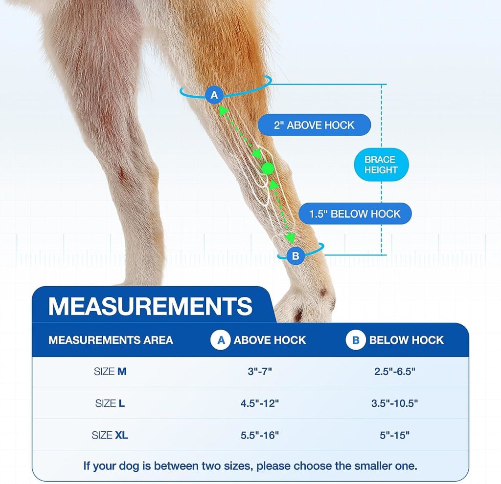 peepbo Dog Leg Brace for Hind Leg Hock  Ankle for Torn ACL  CCL, Canine Rear Leg Joint Compression Wrap for Injury and Sprain Protection, Wound Care and Loss of Stability from Arthritis, 1 Pair, XL