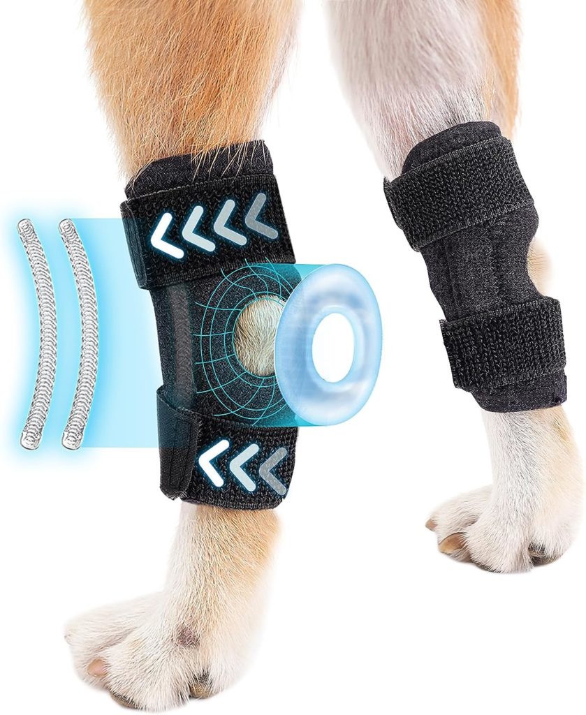 peepbo Dog Leg Brace for Hind Leg Hock  Ankle for Torn ACL  CCL, Canine Rear Leg Joint Compression Wrap for Injury and Sprain Protection, Wound Care and Loss of Stability from Arthritis, 1 Pair, XL