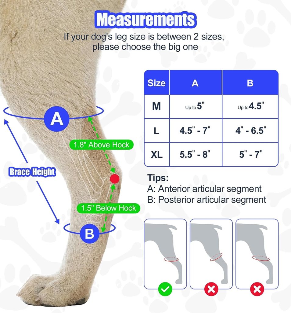 soundfuse Dog Leg Brace for Back Leg Hock  Ankle, Canine Rear Wrap Sleeve Joint Brace for Torn ACL CCL Hind Leg, Loss of Stability from Arthritis Wound Care, Injury and Sprain Protection 1 Pair, XL