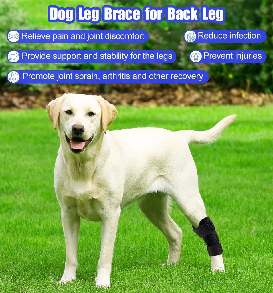 soundfuse Dog Leg Brace for Back Leg Hock  Ankle, Canine Rear Wrap Sleeve Joint Brace for Torn ACL CCL Hind Leg, Loss of Stability from Arthritis Wound Care, Injury and Sprain Protection 1 Pair, XL