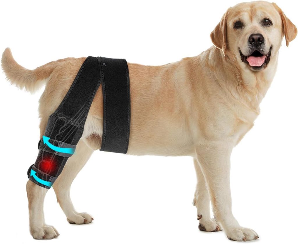 Xylitic Dog Knee Brace, Acl Knee Brace for Dogs Hind Leg with Cruciate Ligament Injury,Joint Pain and Muscle Sore,Adjustable Dog Rear Leg Brace Support for Patella Dislocation,Pet Knee Brace (Large)