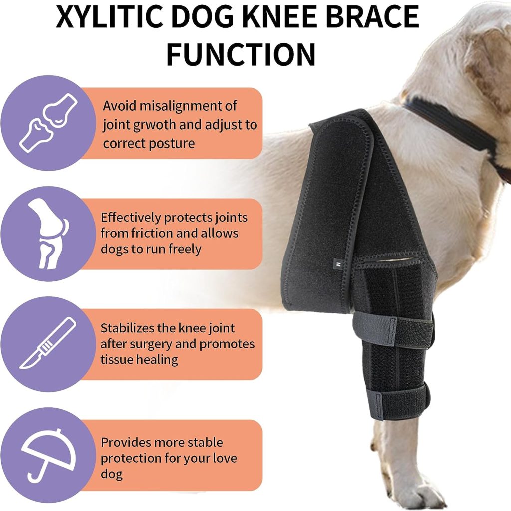 Xylitic Dog Knee Brace, Acl Knee Brace for Dogs Hind Leg with Cruciate Ligament Injury,Joint Pain and Muscle Sore,Adjustable Dog Rear Leg Brace Support for Patella Dislocation,Pet Knee Brace (Large)