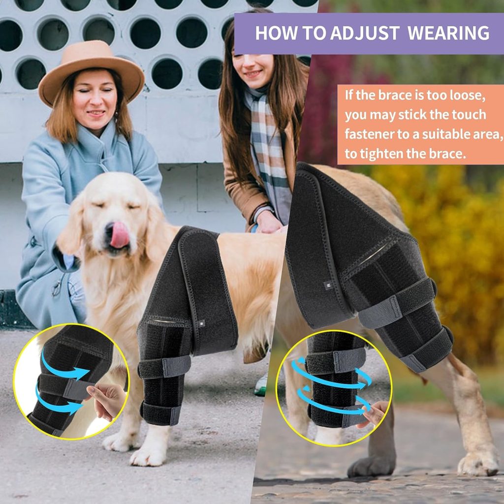 Xylitic Dog Knee Brace, Acl Knee Brace for Dogs Hind Leg with Cruciate Ligament Injury,Joint Pain and Muscle Sore,Adjustable Dog Rear Leg Brace Support for Patella Dislocation,Pet Knee Brace (Large)