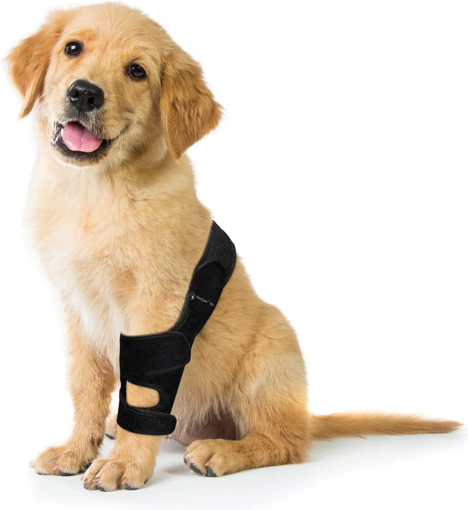 BaoGuai Knee Brace for Dogs ACL with Side Stabilizers,Knee Cap Dislocation, Arthritis - Keeps The Joint Warm and Stable - Extra Support - Reduces Pain and Inflammation - 7Sizes（XS）