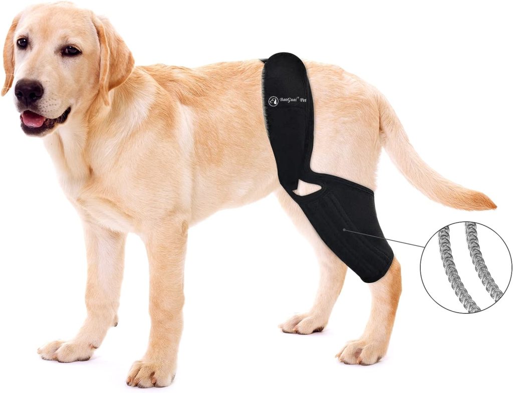 BaoGuai Knee Brace for Dogs ACL with Side Stabilizers,Knee Cap Dislocation, Arthritis - Keeps The Joint Warm and Stable - Extra Support - Reduces Pain and Inflammation - 7Sizes（XS）