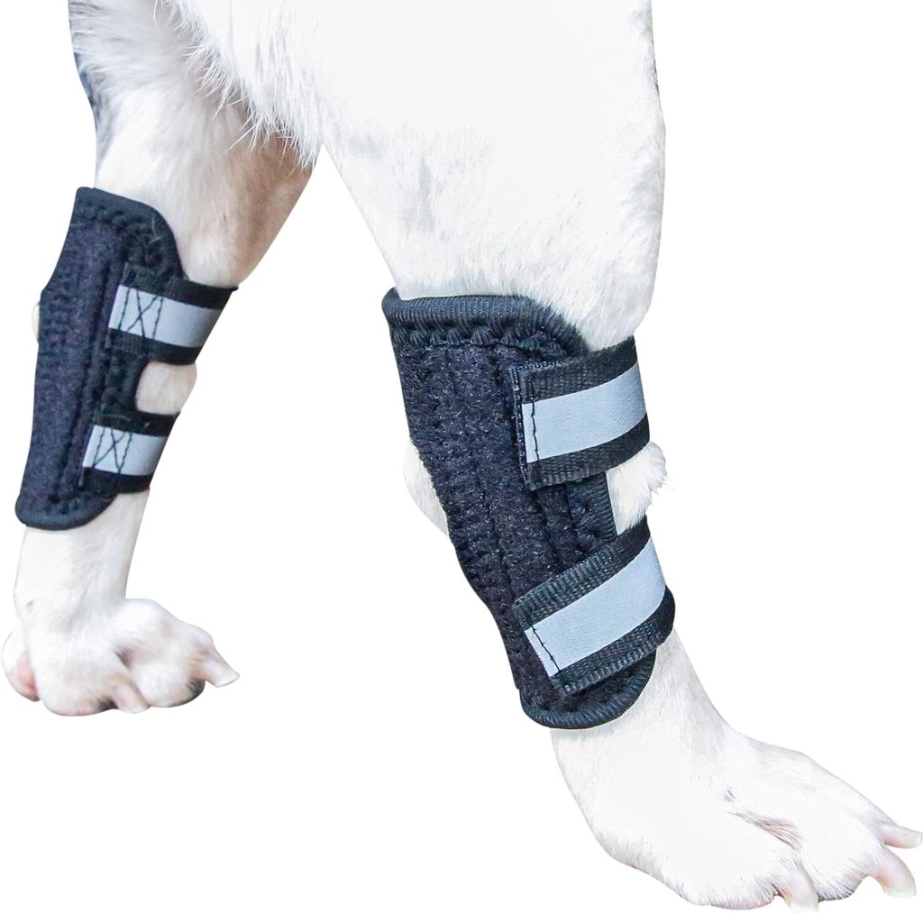 Bsfming Rear Leg Hock Brace for Dogs Dog Hind Leg Sleeve with 2 Flexible Spring Strips Inside Hock Joint Brace Compression Wrap for Dog Back Leg Dog Ankle Brace for Torn ACL and Arthritis (M-Left)