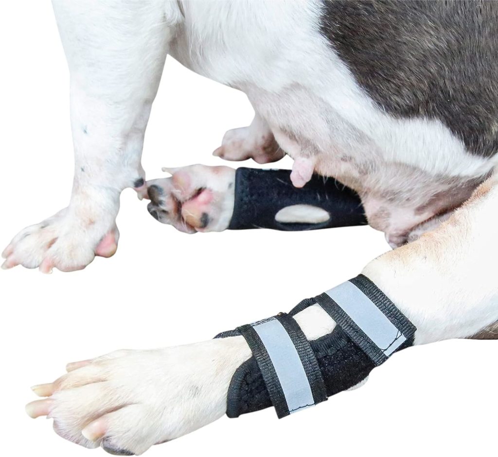 Bsfming Rear Leg Hock Brace for Dogs Dog Hind Leg Sleeve with 2 Flexible Spring Strips Inside Hock Joint Brace Compression Wrap for Dog Back Leg Dog Ankle Brace for Torn ACL and Arthritis (M-Left)