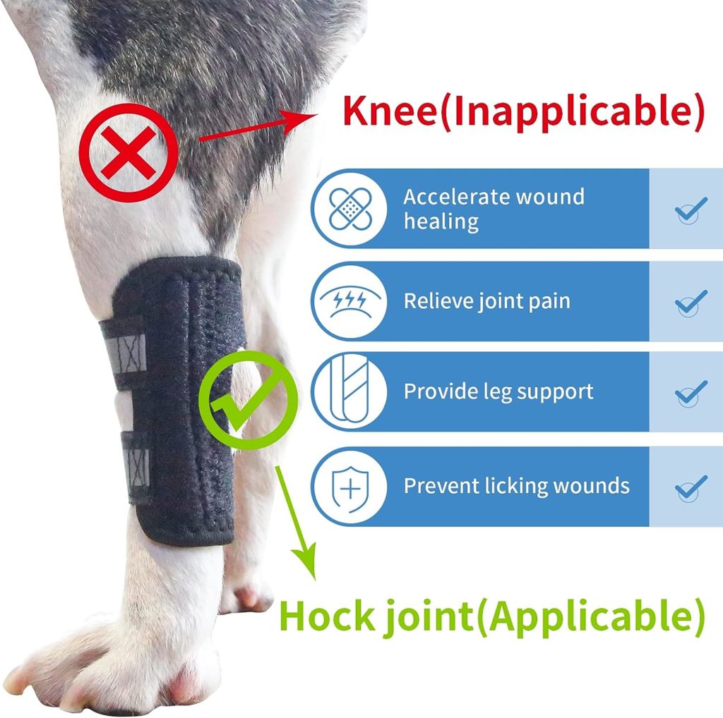 Bsfming Rear Leg Hock Brace for Dogs Dog Hind Leg Sleeve with 2 Flexible Spring Strips Inside Hock Joint Brace Compression Wrap for Dog Back Leg Dog Ankle Brace for Torn ACL and Arthritis (M-Left)