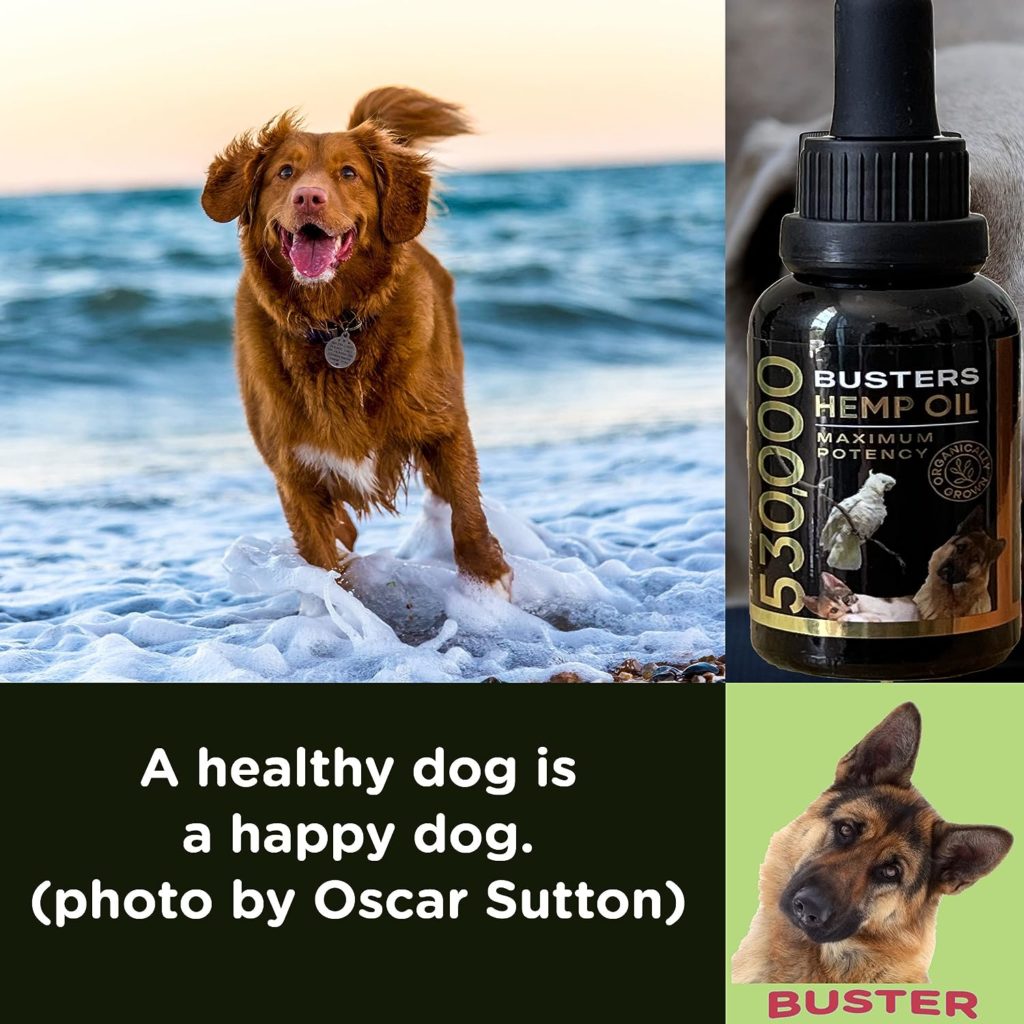 Busters Organic Hemp Oil 530,000 2month Supply for Dogs  Cats - Max Potency - Made in USA - Omega Rich 3, 6  9 - Hip  Joint Health, Natural Relief for Pain, Separation Anxiety