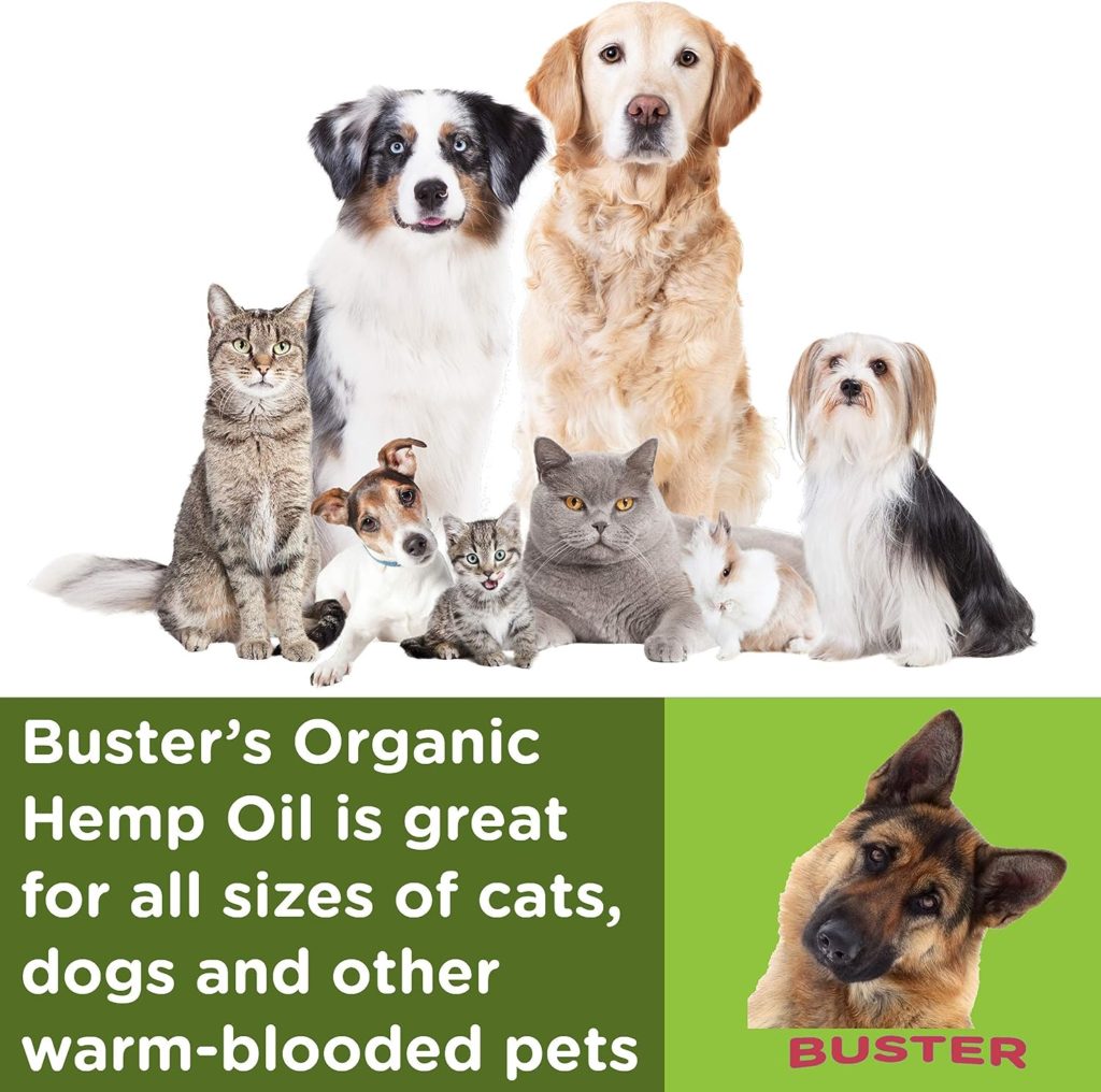 Busters Organic Hemp Oil Large 60 Milliliters 2-Pack for Dogs  Cats - Max Potency - Made in USA - Omega Rich 3, 6  9 - Hip  Joint Health, Natural Relief, Calming (60,000MG)