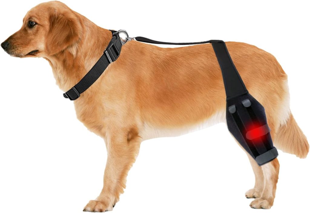 Foclassic Dog ACL Brace Hind Leg - Adjustable Dog Knee Support with Cruciate Ligament Injury, Dog Leg Support for Luxating Patella, Dog Knee Brace Torn ACL for Relieve Joint Pain and Muscle Sore