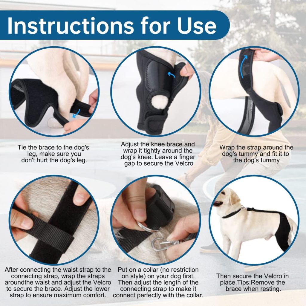 Foclassic Dog ACL Brace Hind Leg - Adjustable Dog Knee Support with Cruciate Ligament Injury, Dog Leg Support for Luxating Patella, Dog Knee Brace Torn ACL for Relieve Joint Pain and Muscle Sore