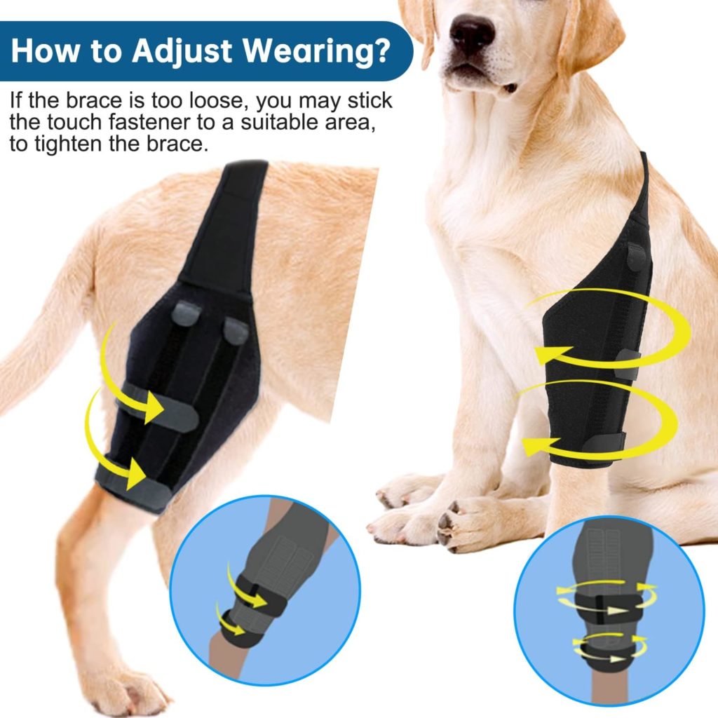 Foclassic Dog ACL Brace Hind Leg - Adjustable Dog Knee Support with Cruciate Ligament Injury, Dog Leg Support for Luxating Patella, Dog Knee Brace Torn ACL for Relieve Joint Pain and Muscle Sore