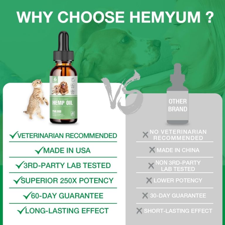 Hemp Oil for Dogs and Cats Review