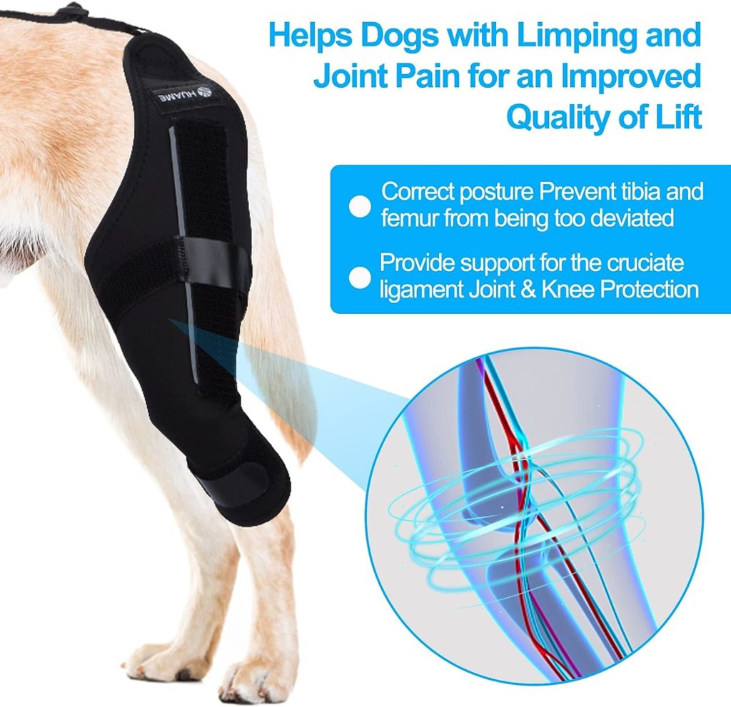 HUAME Dog Knee Brace, Support for Torn ACL Hind Leg, Luxating Patella, Relieve Arthritis Pain  Inflammation, with Side Stabilizers,Harness  Connection Belt, for Back Leg (Right Leg, X-Large)