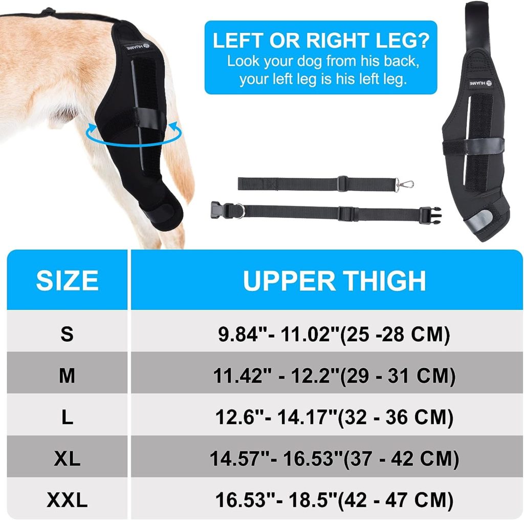 HUAME Dog Knee Brace, Support for Torn ACL Hind Leg, Luxating Patella, Relieve Arthritis Pain  Inflammation, with Side Stabilizers,Harness  Connection Belt, for Back Leg (Right Leg, X-Large)