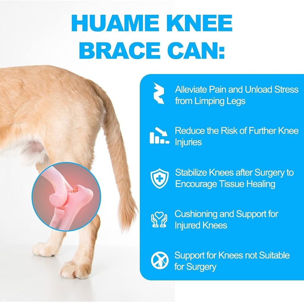 HUAME Dog Knee Brace, Support for Torn ACL Hind Leg, Luxating Patella, Relieve Arthritis Pain  Inflammation, with Side Stabilizers,Harness  Connection Belt, for Back Leg (Right Leg, X-Large)