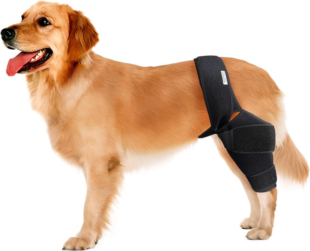 JOCUND Dog Knee Brace, Dog Leg Brace for ACL Tear, CCL, Arthritis, Dog Rear Leg Bracer for Knee Cap Dislocation, Leg Wounds Care (Medium)