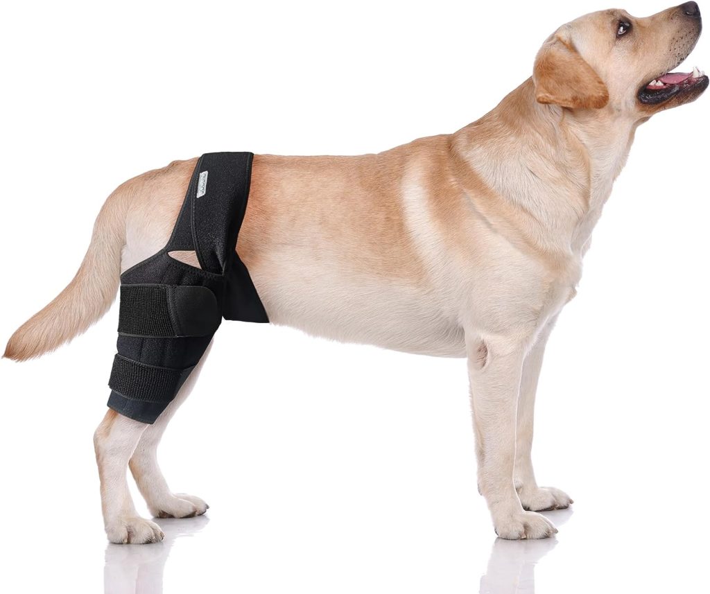 JOCUND Dog Knee Brace for Torn ACL Hind Leg, Dog Leg Braces for Back Leg with Metal Support, ACL Brace for Dogs Rear Leg Tear CCL, Arthritis, Knee Cap Dislocation (Large)