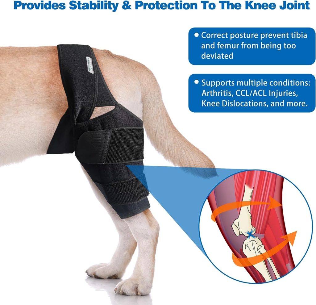 JOCUND Dog Knee Brace for Torn ACL Hind Leg, Dog Leg Braces for Back Leg with Metal Support, ACL Brace for Dogs Rear Leg Tear CCL, Arthritis, Knee Cap Dislocation (Large)