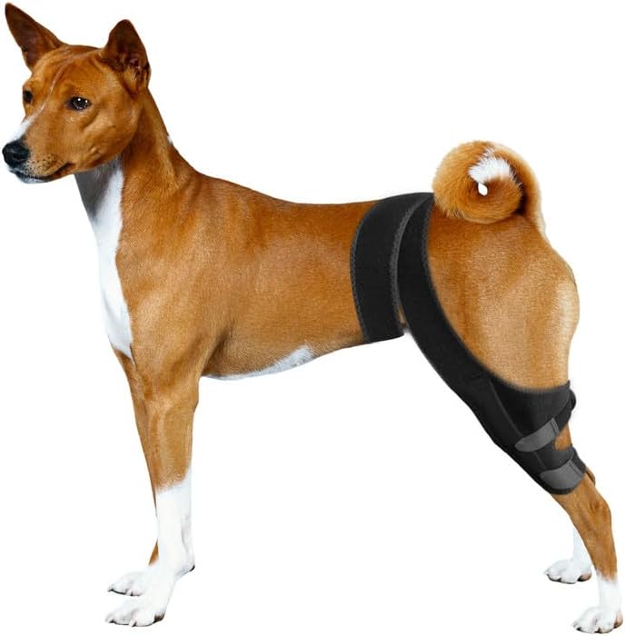 JUANWAN Dog Knee Brace Leg Braces - Dog Canine Knee Stifle Brace Wrap Dog Knee Brace for Torn ACL Hind Leg Joint Pain Muscle Sore Pet Brace Reduces Pain and Inflammation #09