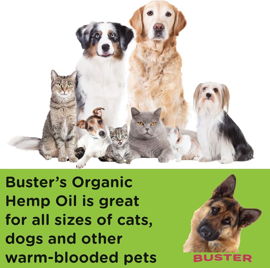 K2xLabs Busters Organic Hemp Oil for Dogs  Pets, 4 Months Supply, 555,000 Max Potency, Large 60ml Bottle, Made in USA - Miracle Formula, Perfectly Balanced Omega 3, 6, 9 - Relief for Joints, Calming