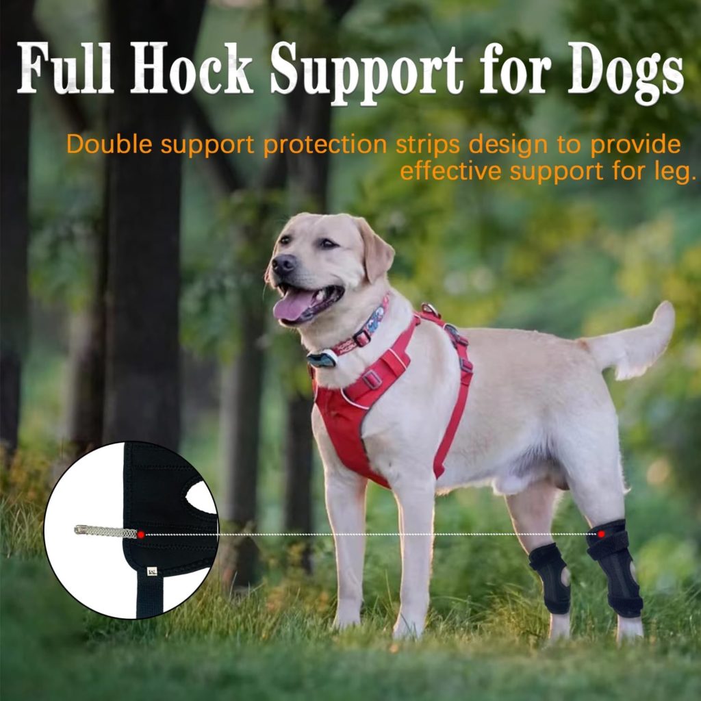 KEDAO Dog Leg Brace for Front Back Rear Hock  Ankle, Dog Leg Brace with Spring Strips Wraps, Compression Brace for Torn ACL Wound Care and Loss of Stability from Arthritis 1 Pair M