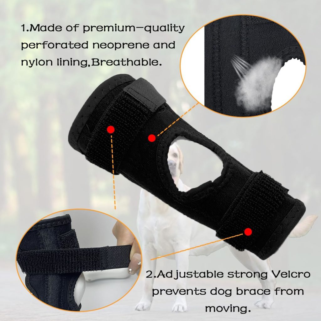 KEDAO Dog Leg Brace for Front Back Rear Hock  Ankle, Dog Leg Brace with Spring Strips Wraps, Compression Brace for Torn ACL Wound Care and Loss of Stability from Arthritis 1 Pair M